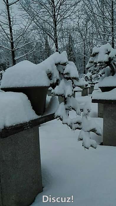 wx_camera_1515034462859.jpg