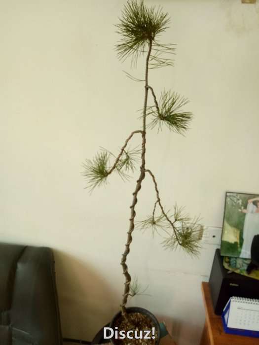 ½ļIMG20180112152500_.jpg
