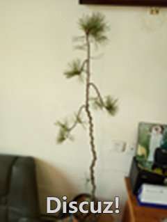 ½ļIMG20180112152520_.jpg