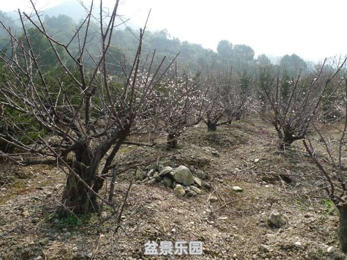 P1150801_.jpg