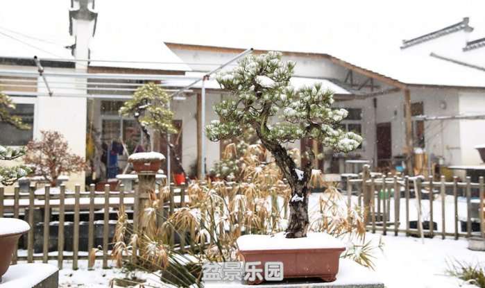 QQͼƬ20180126220903.jpg