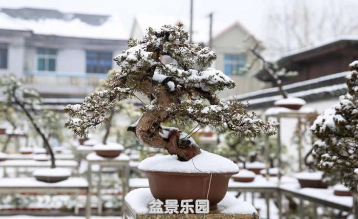 QQͼƬ20180126220929.jpg