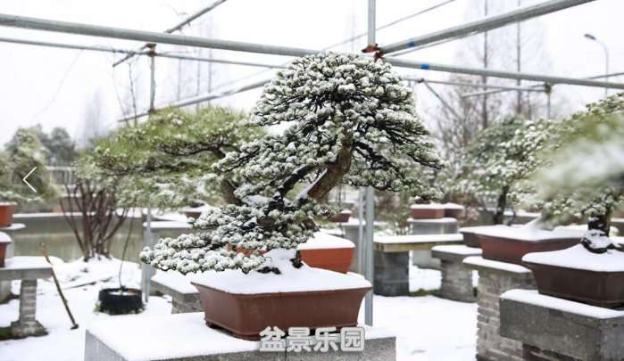 QQͼƬ20180126221257.jpg
