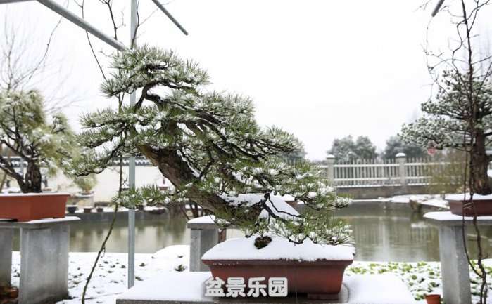 QQͼƬ20180126221318.jpg