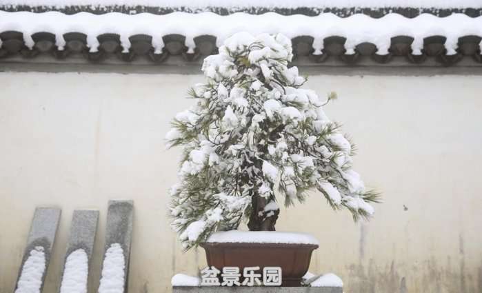 QQͼƬ20180126221417.jpg