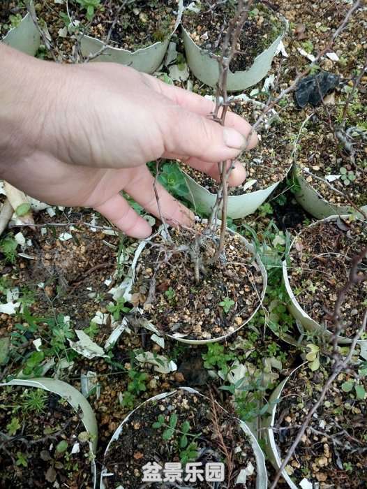 ½ļ (2)IMG_20180121_133752.jpg