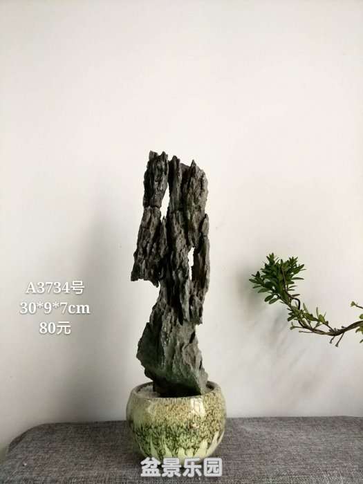 a3734.jpg