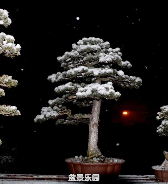 03-.jpg