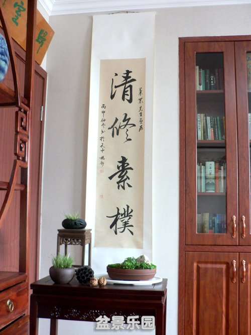 P15.JPG