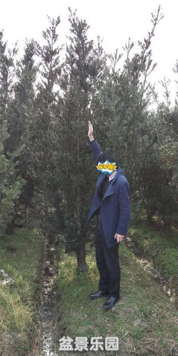 ޺ز10-15.jpg