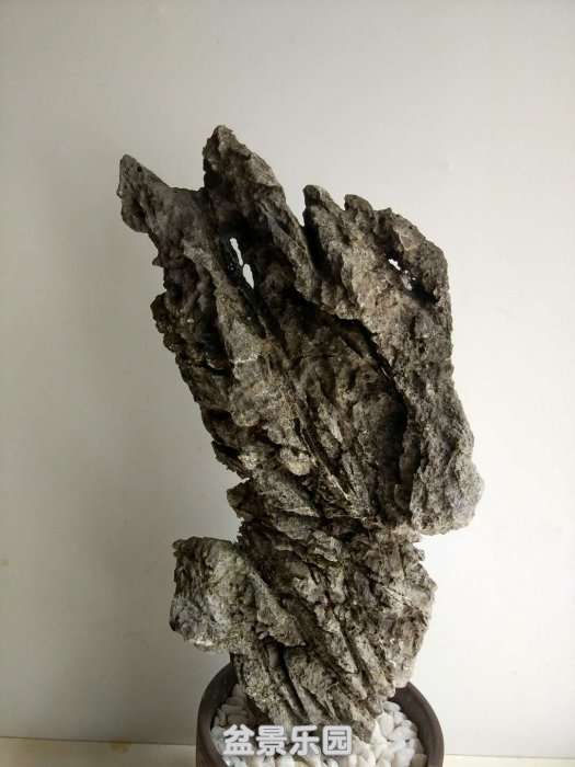 d0952a.jpg