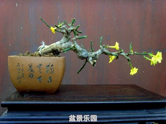 SNV30179.JPG