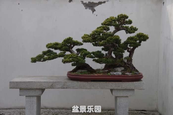 IMGP9295.JPG