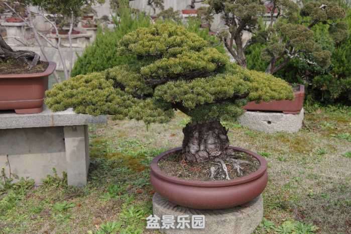 IMGP9310.JPG