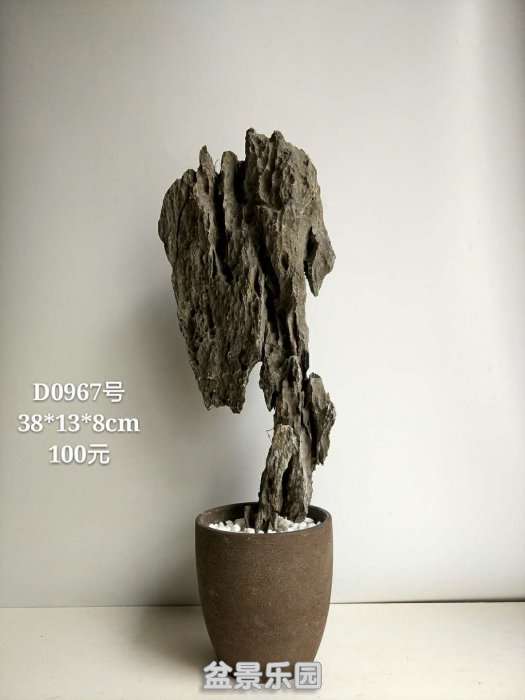d0967.jpg