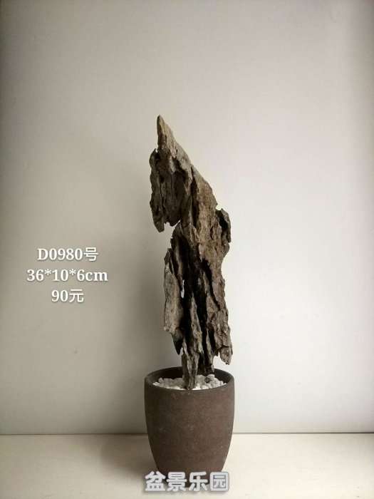 d0980.jpg