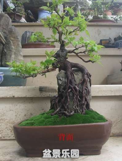 DSCF7166_.jpg