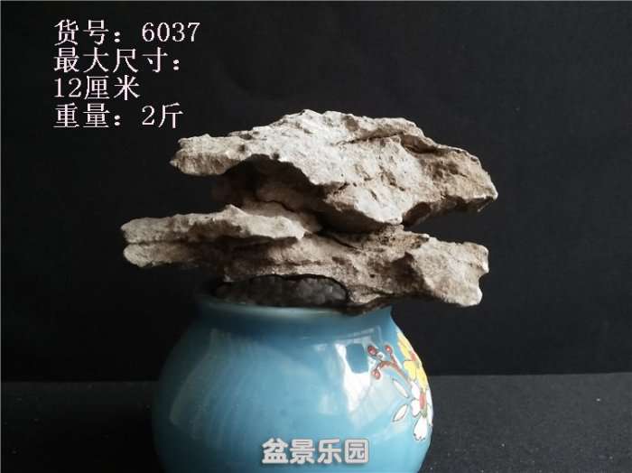 IMG20180313180522.jpg