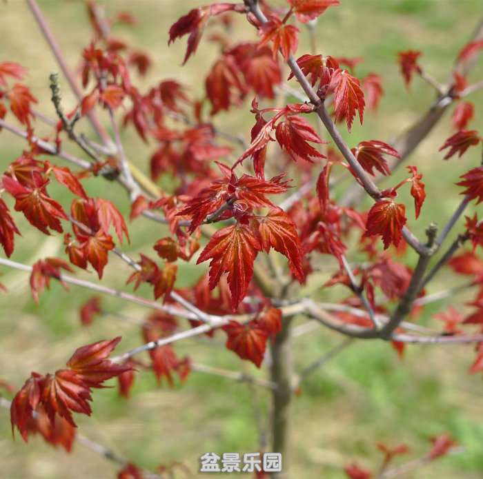 P1160840.JPG