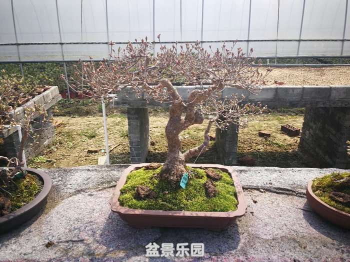 ΢ͼƬ_20180323104801.jpg