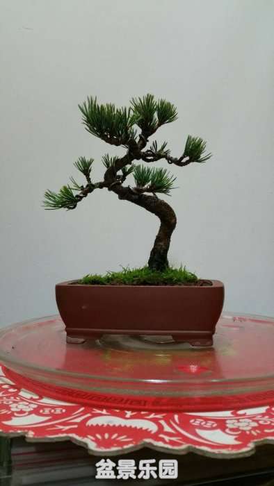 �۸�1800��Ԫ