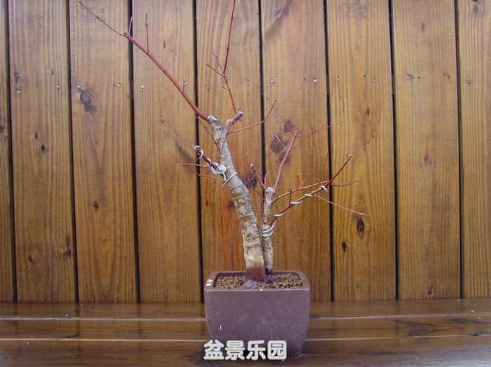SNV31158.jpg