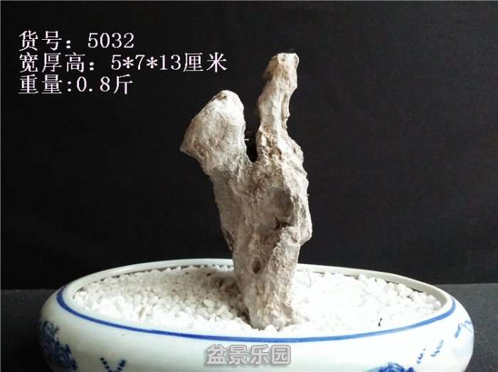 IMG20180402181031.jpg