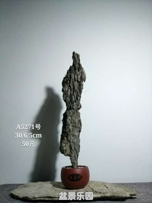 a5271.jpg