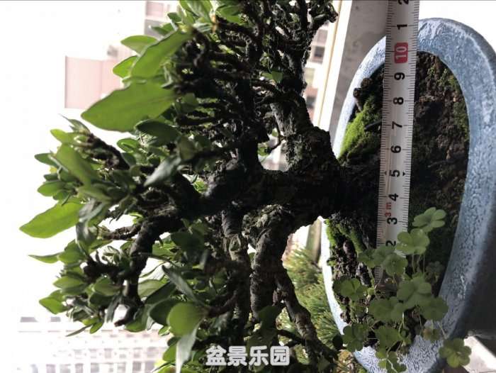 QQͼƬ20180414114326.jpg