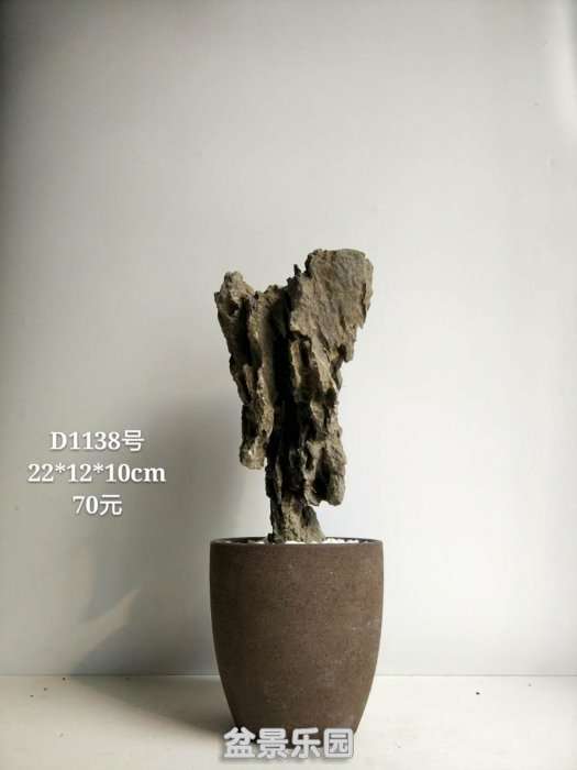 d1138.jpg