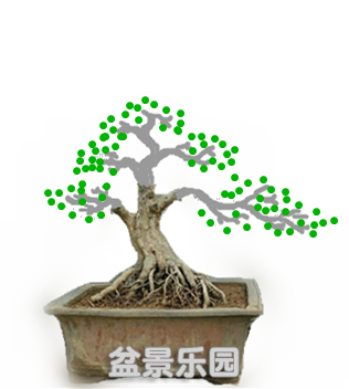 183436nz6v67ssnvhh0dvu.jpg.thumb__.png