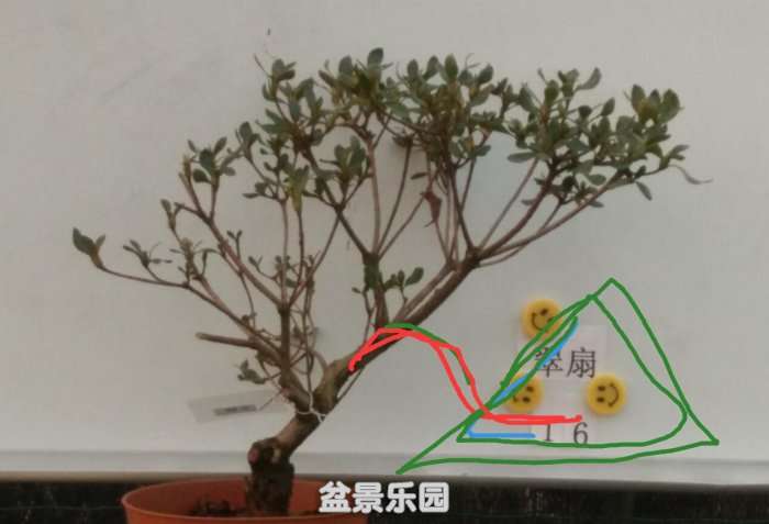 QQͼ20180509153454.jpg