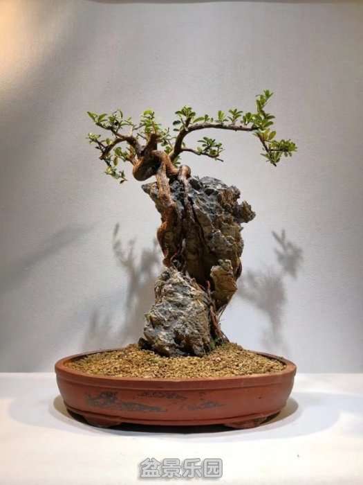 psb (3).jpg