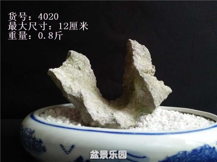 IMG20180430175056.jpg