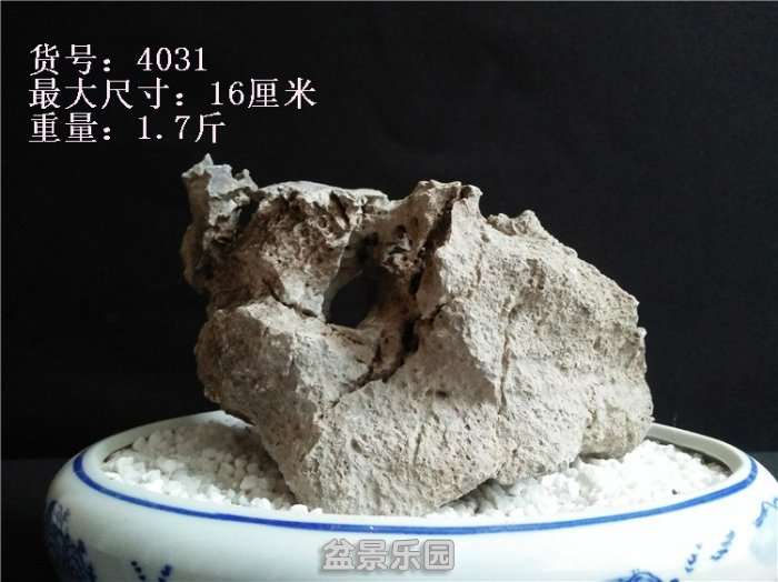 IMG20180430180432.jpg