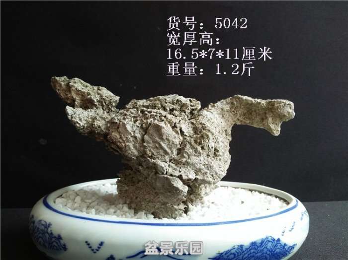 IMG20180424150455.jpg