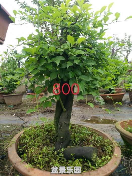 ΢ͼƬ_20180524095830.jpg