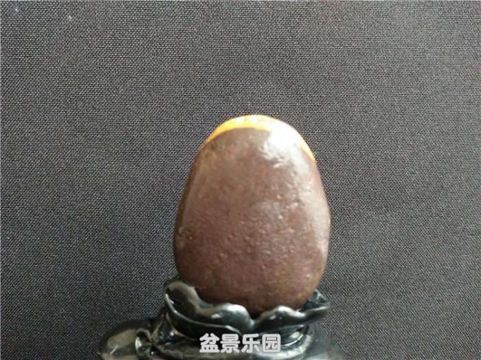 IMG20180523130233.jpg