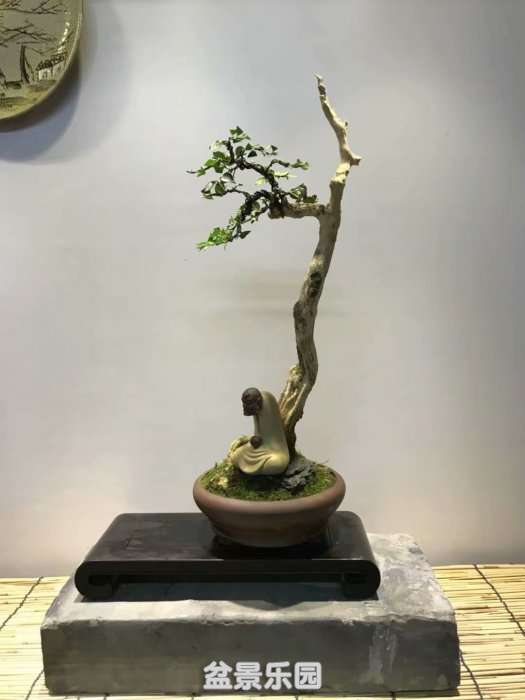 psb (1).jpg