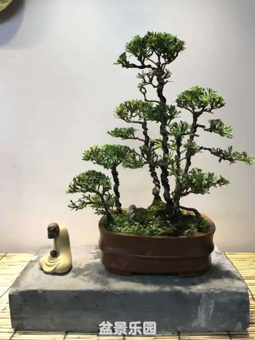 psb (9).jpg