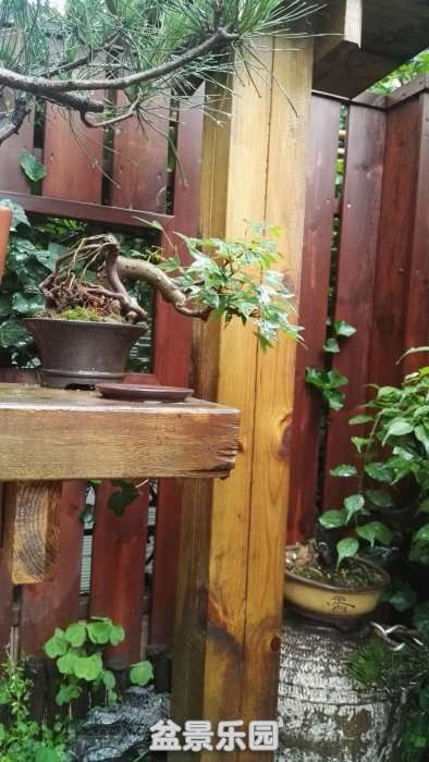 ΢ͼƬ_201805070718562.jpg