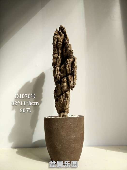 d1076.jpg