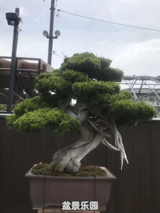 ΢ͼƬ_20180601153938.jpg