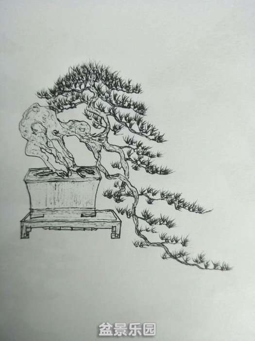 psb (4).jpg