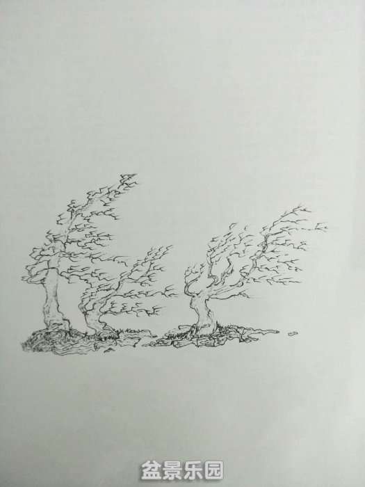 psb (7).jpg