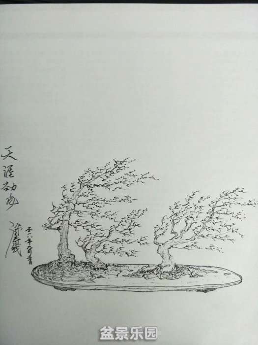 psb (10).jpg