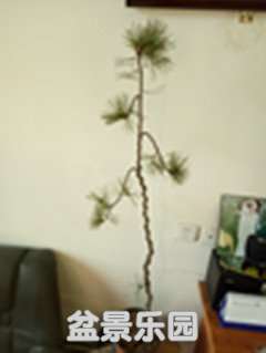 ½ļIMG20180112152520_.jpg