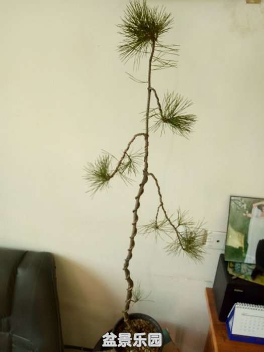 ½ļIMG20180112152500_.jpg