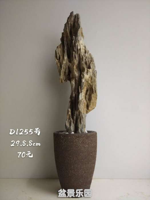 d1255.jpg