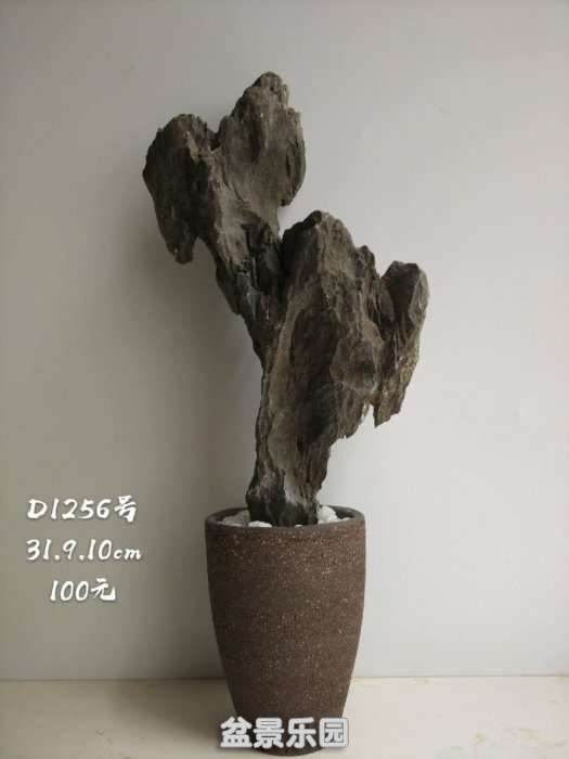 d1256.jpg